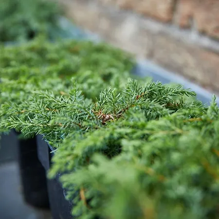 Gulle Szálloda Nyborg