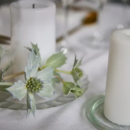 Szálloda Gulle Nyborg